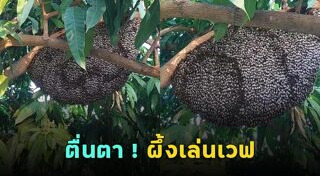 คลิปหายาก