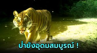 แก่งกระจาน