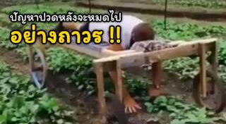 ผักผลไม้