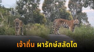 อุทยานแห่งชาติทับลาน