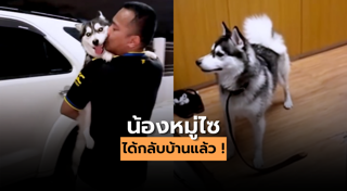 หมาน่ารัก