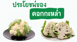 กะหล่ำดอก