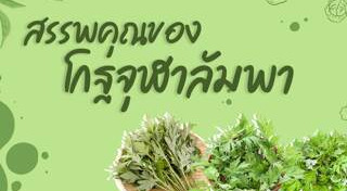 kapook football