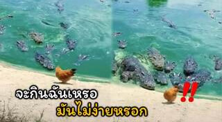 สัตว์ครึ่งบกครึ่งน้ำ