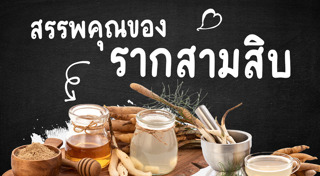 รากสามสิบ