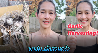 อุ้ม สิริยากร