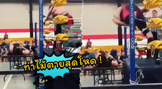นักมวยปล้ำ