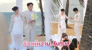 เป๊กซ์ วงซีล