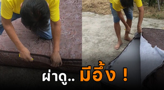 ยางพารา