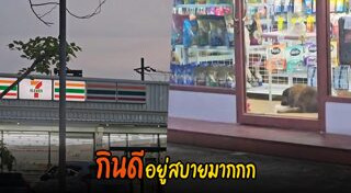 หมาน่ารัก