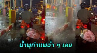 คลื่นทะเล