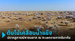 ทะเลทราย