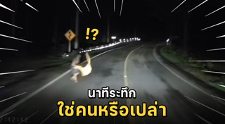 คนบ้า