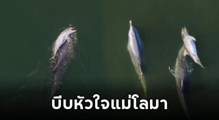 เรื่องเศร้า
