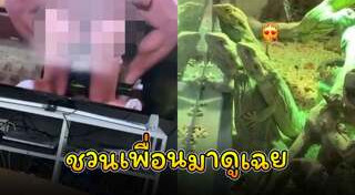 กิ้งก่า