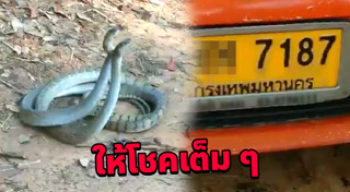 คลิปหายาก