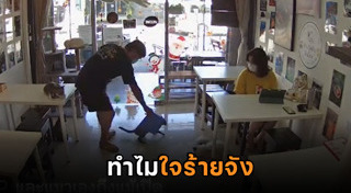 คาเฟ่สัตว์เลี้ยง