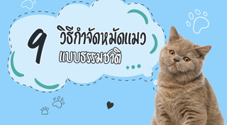 วิธีกำจัดเห็บ