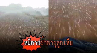 ฝนฟ้าคะนอง