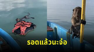 เรื่องราวดี ๆ