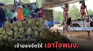 โคโยตี้