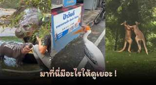 สวนสัตว์เปิด