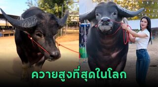 ที่สุดในโลก