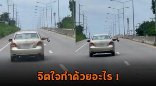 ทำร้ายแมว