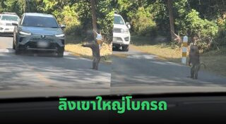 เขาใหญ่