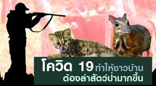 ล่าสัตว์