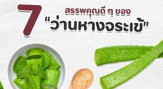 ว่านหางจระเข้