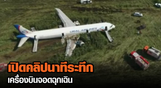 เครื่องบินชนนก