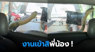 กู้ภัยจับงู