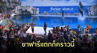 ซาฟารีเวิลด์