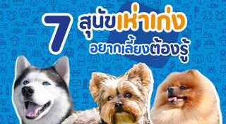 พันธุ์สุนัข