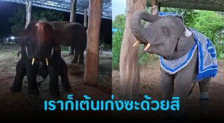 สัตว์น่ารักๆ