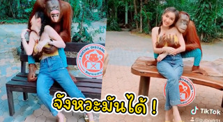 อุรังอุตัง