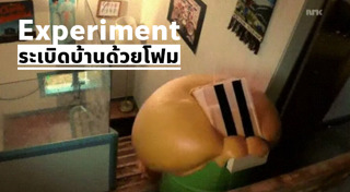 การทดลอง