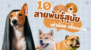 พันธุ์สุนัข