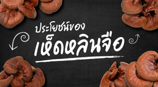 เห็ดหลินจือ