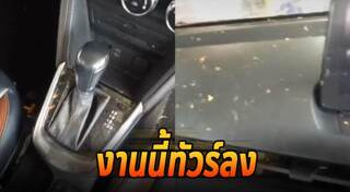 บริการแปลก