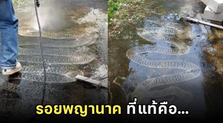 รอยพญานาค