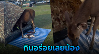 อุทยานแห่งชาติเขาใหญ่