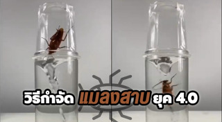 ฆาตกรโรคจิต