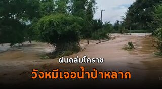 วังน้ำเขียว