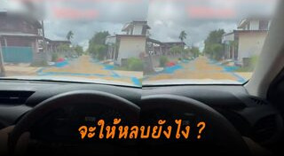 ปลูกข้าว