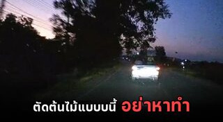 ตัดต้นไม้