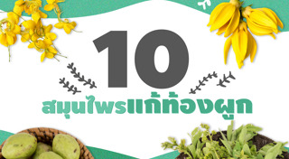 วิธีแก้ท้องผูก