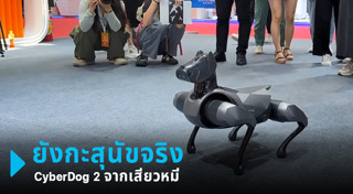 หุ่นยนต์