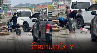 ทารุณสัตว์